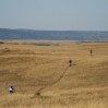 MTBO-WM: Gold und Bronze