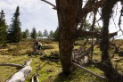 Nockbiken