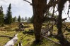 Nockbiken