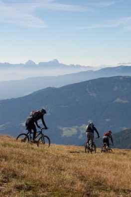 Almwiesen wechseln