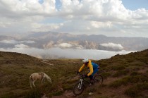 Per Mountainbike am Drachenberg