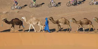 Titan Desert & Trans Tunisie