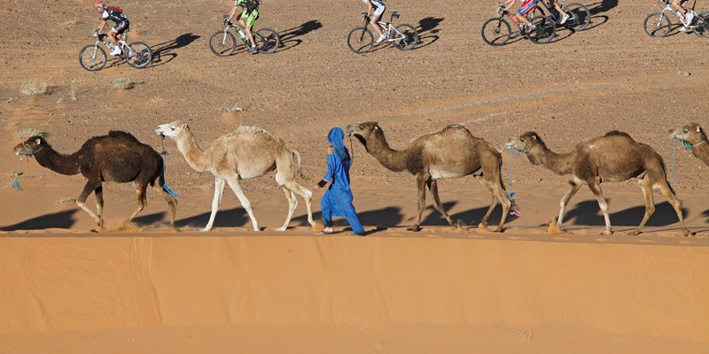 Titan Desert & Trans Tunisie