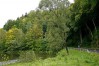 Weite, Wein und Wald