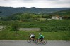 Weite, Wein und Wald
