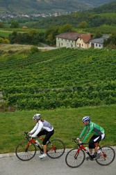 Weite, Wein und Wald