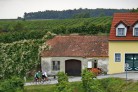 Weite, Wein und Wald