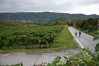 Weite, Wein und Wald