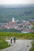 Weite, Wein und Wald