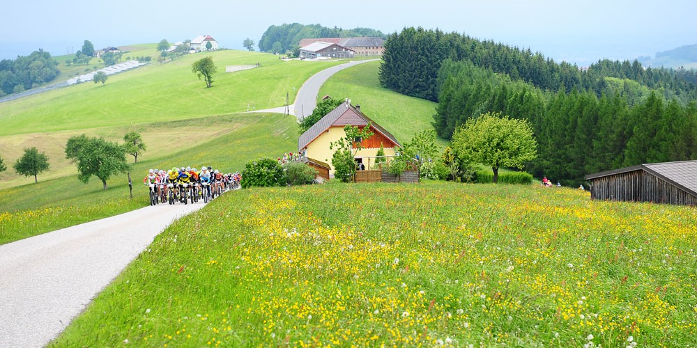 Mosttour 2013