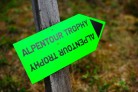 Alpentour Trophy 2013