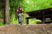 Alpentour Trophy 2013