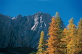 Im Herz der Alpen
