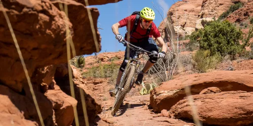 Trek Fuel EX 29 und Remedy 29