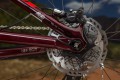 Trek Fuel EX 29 und Remedy 29