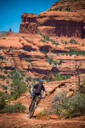 Trek Fuel EX 29 und Remedy 29