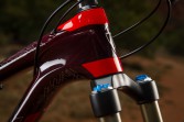 Trek Fuel EX 29 und Remedy 29