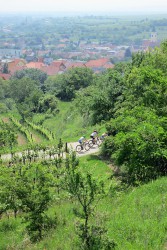 4. Rennradtage Langenlois - Bildbericht