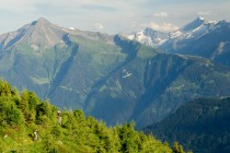 Im Herz der Alpen