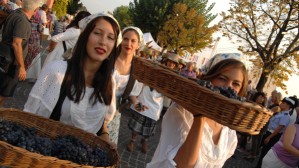 Bardolino: mit dem Rad beim Weinfest am Gardasee