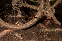 MTB Marathon WM Kirchberg