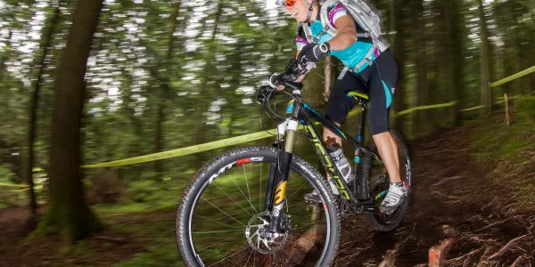 Test: Genesis Axiom Carbon