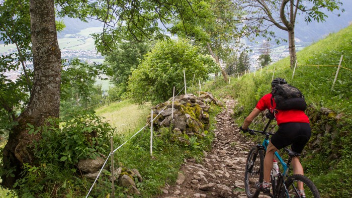 BMC Fourstroke FS02 29