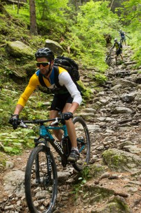 BMC Fourstroke FS02 29