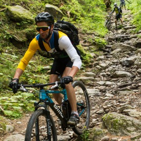 BMC Fourstroke FS02 29