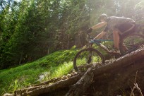 BMC Fourstroke FS02 29