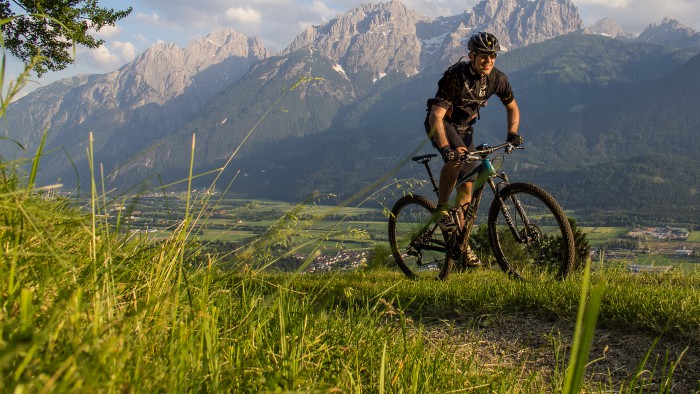 BMC Fourstroke FS02 29