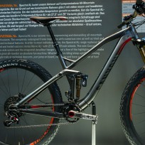 Spectral 29"