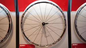 Fulcrum