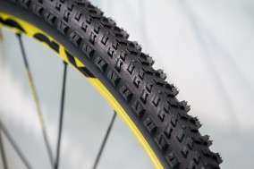 Mavic