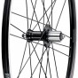 Campagnolo