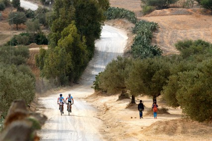 MTB-Neuland Tunesien