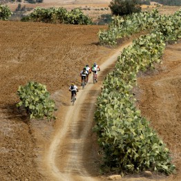 MTB-Neuland Tunesien