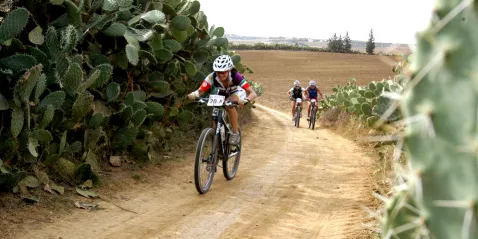 MTB-Neuland Tunesien