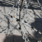 MTB-Neuland Tunesien