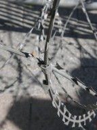 MTB-Neuland Tunesien