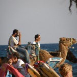 Küste mit Strandleben