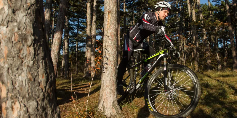 Test: Merida Big.Seven CF Team