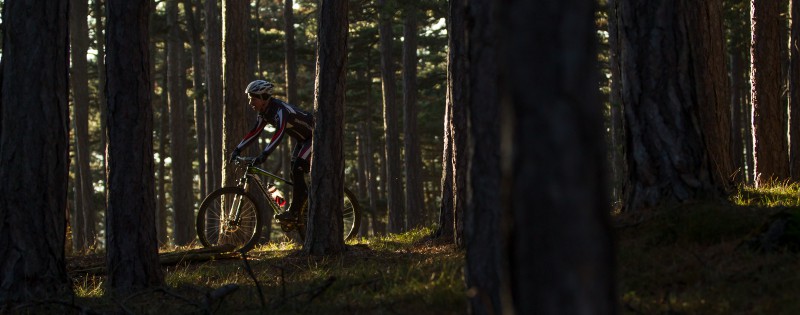 Test: Merida Big.Seven CF Team