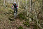 Test: Merida Big.Seven CF Team