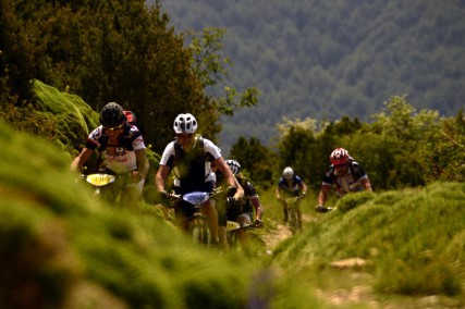 TransPyr 2014