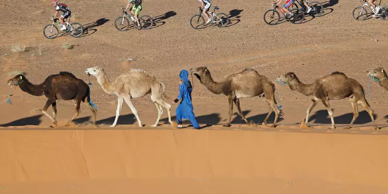 Titan Desert 2014