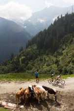 Bye, bye, Bike Infection