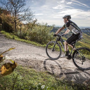 Cannondale E-Serie