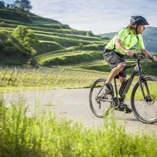 Cannondale E-Serie
