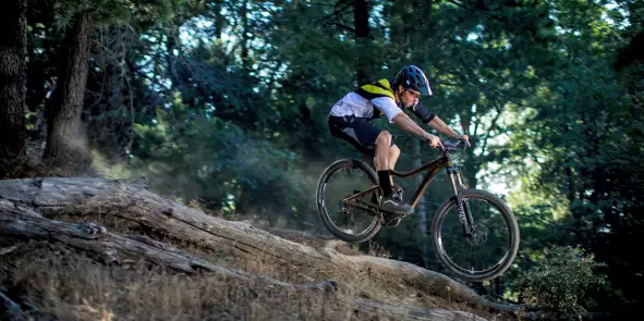 Giant 2014